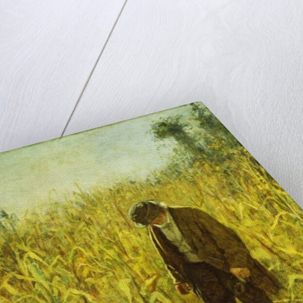 Man in a Cornfield by Eastman Johnson