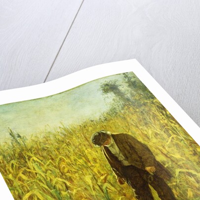 Man in a Cornfield by Eastman Johnson