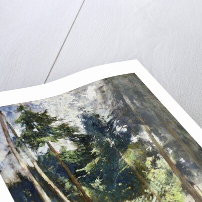 Tall Pines by Emil Carlsen