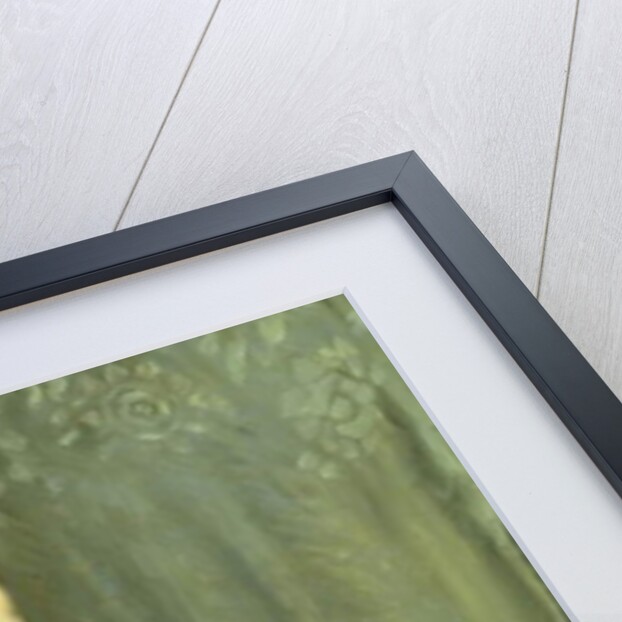 Mercedes, 1909 by Francis Luis Mora