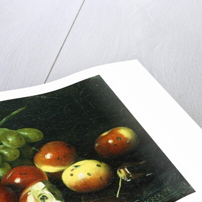 Still Life with Crabapples and Grapes by Joseph Decker