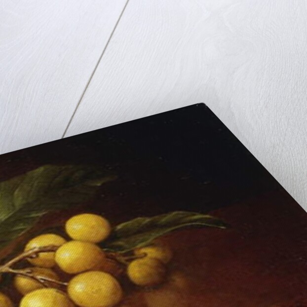 Tropical Plums by Martin Johnson Heade