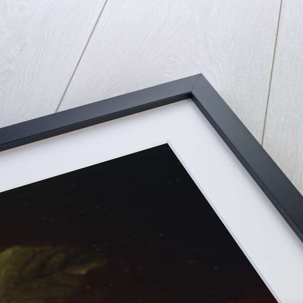 Tropical Plums by Martin Johnson Heade