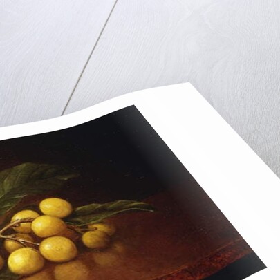 Tropical Plums by Martin Johnson Heade