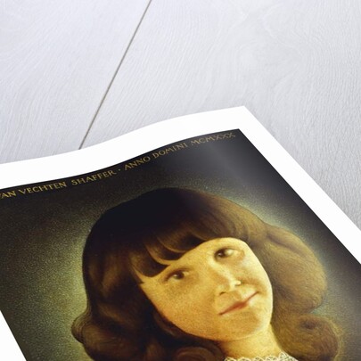 Portrait of Mary Van Vechten Schaffer, 1930 by Grant Wood