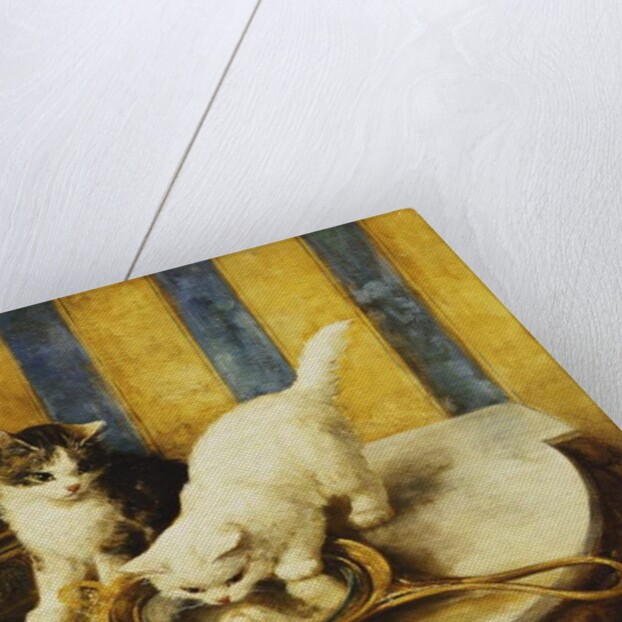 Feline Reflections by Marie Yvonne Laur