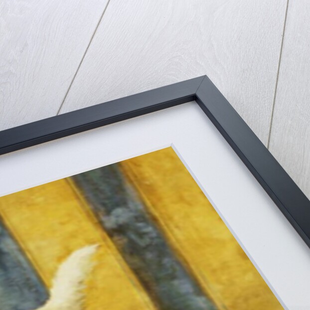 Feline Reflections by Marie Yvonne Laur