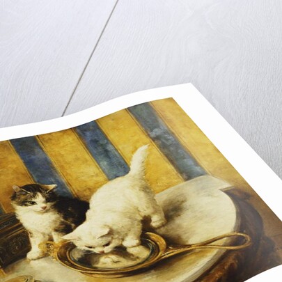 Feline Reflections by Marie Yvonne Laur