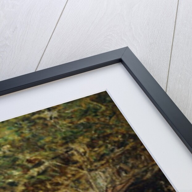 Les Grands Boulevards, Paris, by Eduardo-Leon Garrido