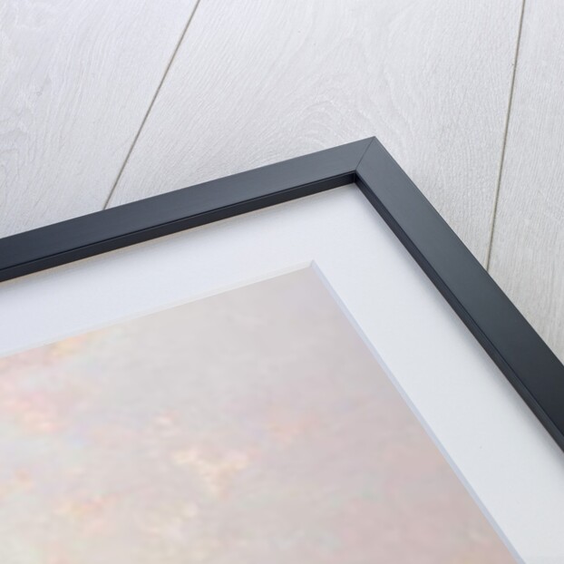 Saint Mary of Health, Venice: Santa Maria della Salute, Venice by Franz Richard Unterberger