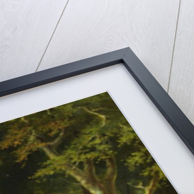 Crossing the Ford by Jan Walraven