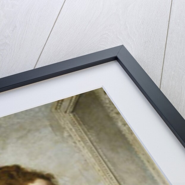 A Young Girl with Parakeets by Charles Joshua Chaplin