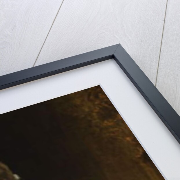 The Loge; A la Loge by Georges Clairin