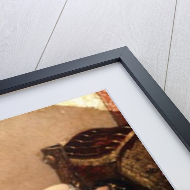 The Odalisque, 1882 by Jean Joseph Benjamin Constant