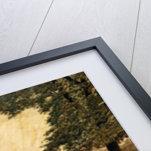 Jardin des Plantes, Paris, 1904 by Fernand Auguste Besnier