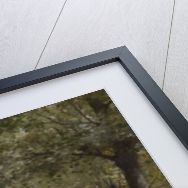 Along the River; Au Bord de la Riviere by Jules Frederic Ballavoine