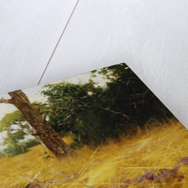 A Kaffir Buffalo in Prairie Grass by Wilhelm Kuhnert