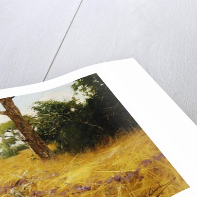 A Kaffir Buffalo in Prairie Grass by Wilhelm Kuhnert