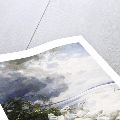 Ducks at the Lake's Edge by Alexander Koester