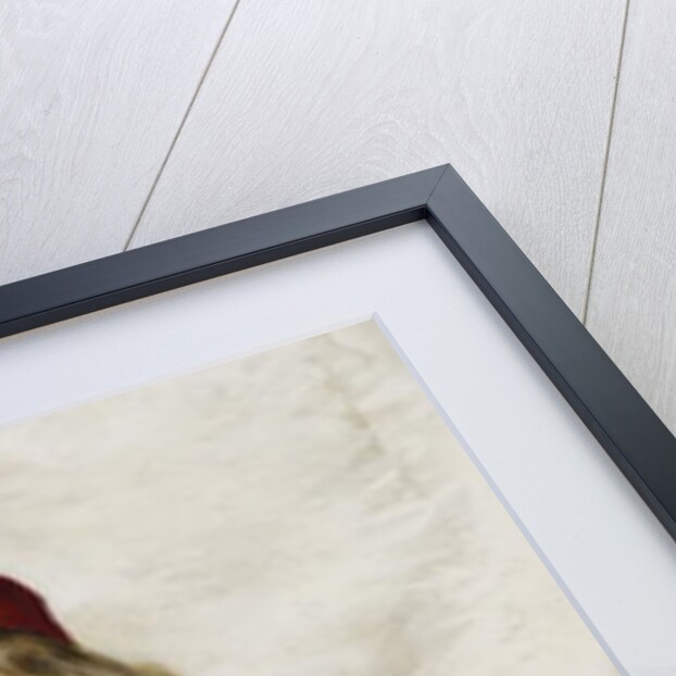 Portrait of Harriet Fischer, Small Three-Quarter Length, Wearing a Red Dress, 1896 by Paul Fischer