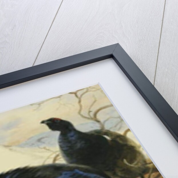 Blackgame, 1928 by Archibald Thorburn