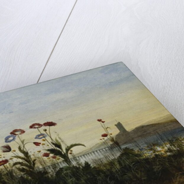 Ferry Carrig Castle, Co. Wexford, Seen Through a Bank of Wild Flowers by Andrew Nicholl