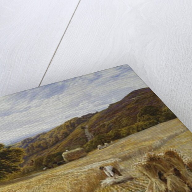 Harvest Time Near Holmbury Hill, Surrey, 1865 by George Vicat Cole