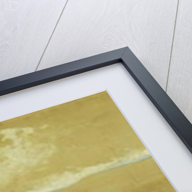 The Crimea by William 'Crimea' Simpson