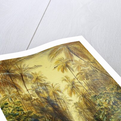 Figures on a Road Near Galle, Ceylon by Edward Lear