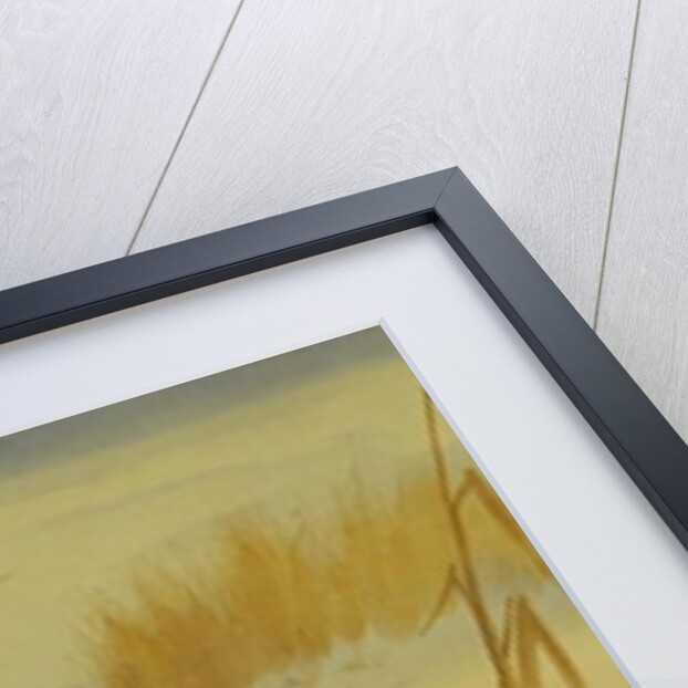 A Kingfisher Amongst Reeds in Winter, 1901 by Archibald Thorburn