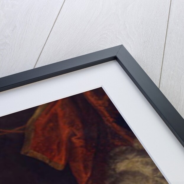 Portrait of William Augustus, Duke of Cumberland, standing three-quarter length, in Garter Robes by Joshua Reynolds