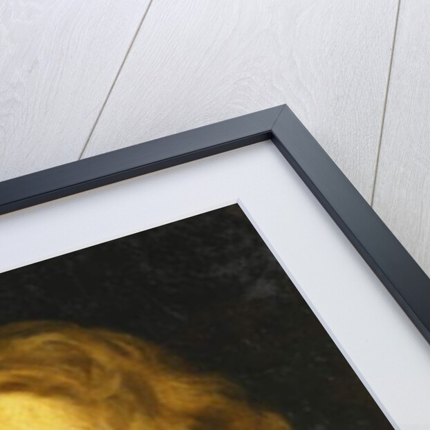 Portrait of a Young Gentleman, thought to be the Duke of Richmond by Peter Lely