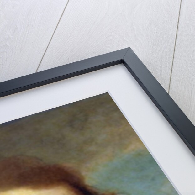 Portrait of the Artist, Head and Shoulders, in a Red Gown of a Doctor of Laws and White Stock - Unfinished by Joshua Reynolds