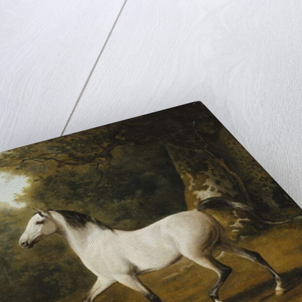 A Grey Arab Stallion in a Wooded Landscape by Jacques-Laurent Agasse