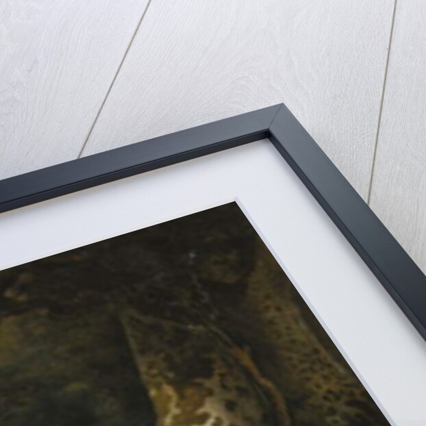 A Grey Arab Stallion in a Wooded Landscape by Jacques-Laurent Agasse