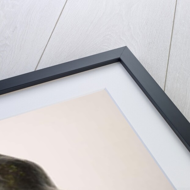 Buste d'Auguste Renoir, c. 1907 by Aristide Maillol