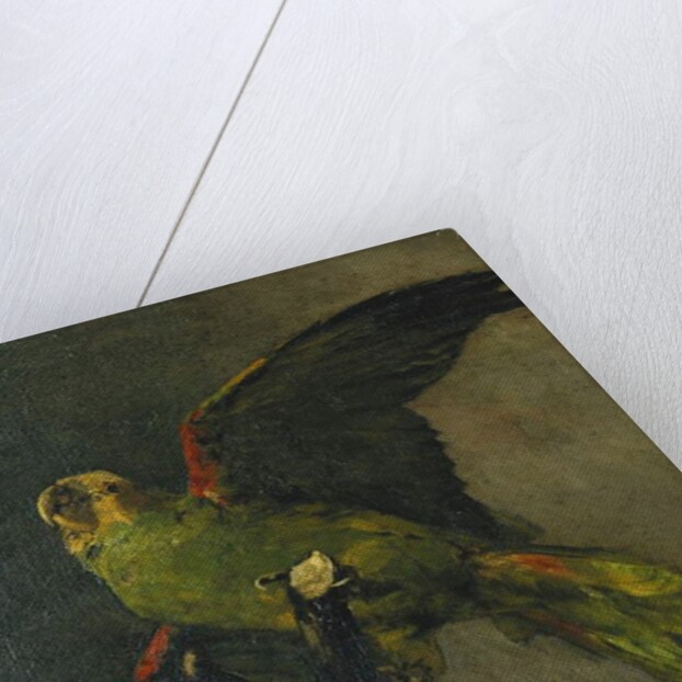 The Green Parrot; Le Perroquet Vert, 1885 by Vincent van Gogh