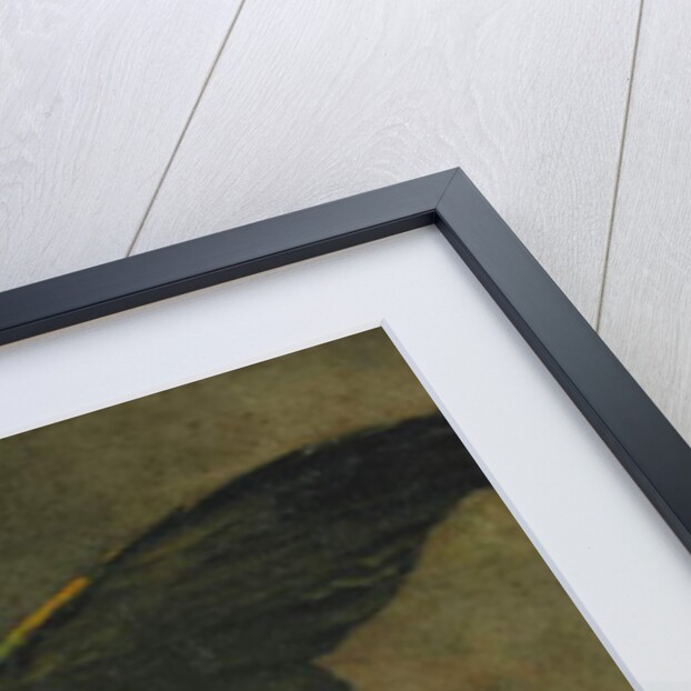 The Green Parrot; Le Perroquet Vert, 1885 by Vincent van Gogh