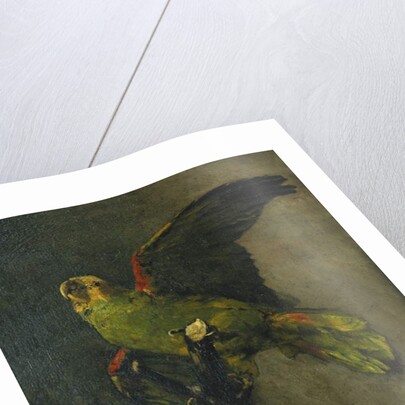 The Green Parrot; Le Perroquet Vert, 1885 by Vincent van Gogh