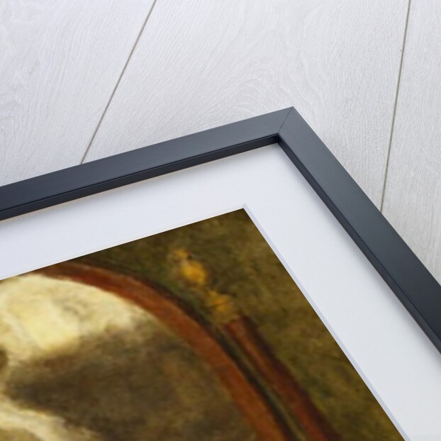 The Mirror by Louis Picard