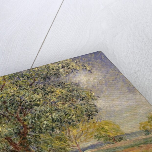 Walnut Tree at Sablons in Spring; Noyers aux Sablons, Primptemps, 1885 by Alfred Sisley