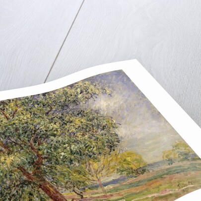 Walnut Tree at Sablons in Spring; Noyers aux Sablons, Primptemps, 1885 by Alfred Sisley