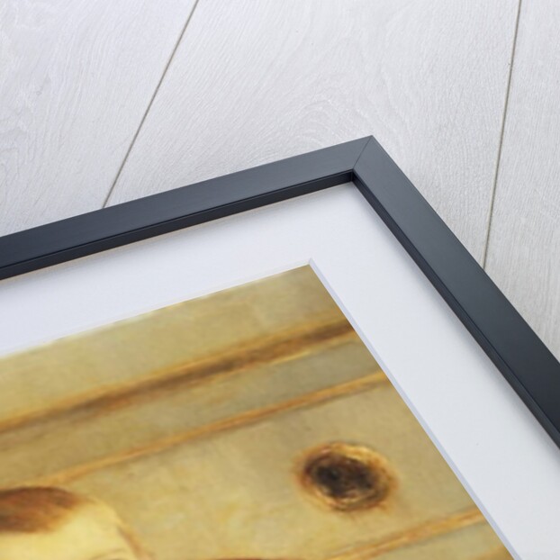 Les Digitales, 1899 by Paul Ranson