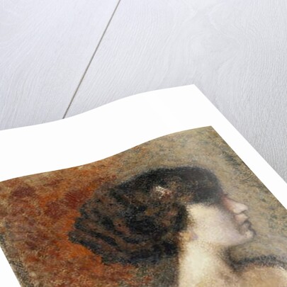 Portrait of a Young Girl; Portrait de Jeune Fille - Portret van een Jong Meisje by Georges Lemmen