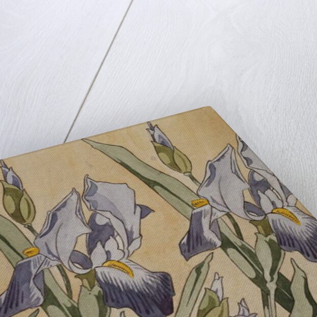 Iris, 1898 by Koloman Moser