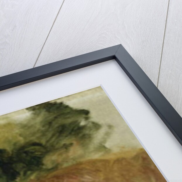 Young Woman Reading by Pierre Auguste Renoir