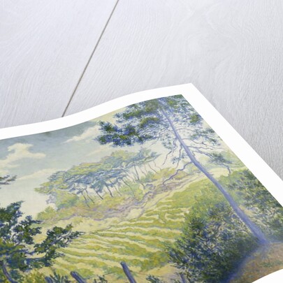 Vineyards Under the Pines; Les Vignobles sous les Pins, c. 1898 by Paul Ranson