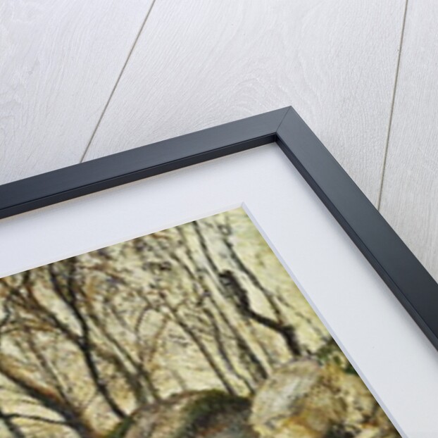 The Cabbage Pickers, Pontoise; Les Carrieres du Chou, Pontoise, 1882 by Camille Pissarro
