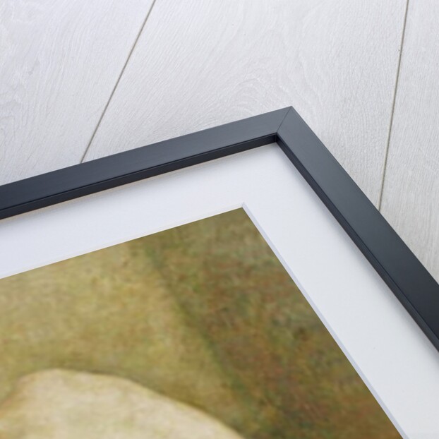 Bather by Theo van Rysselberghe