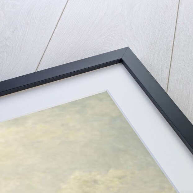 Le Bassin de Caen, 1887 by Stanislas Victor Edouard Lepine